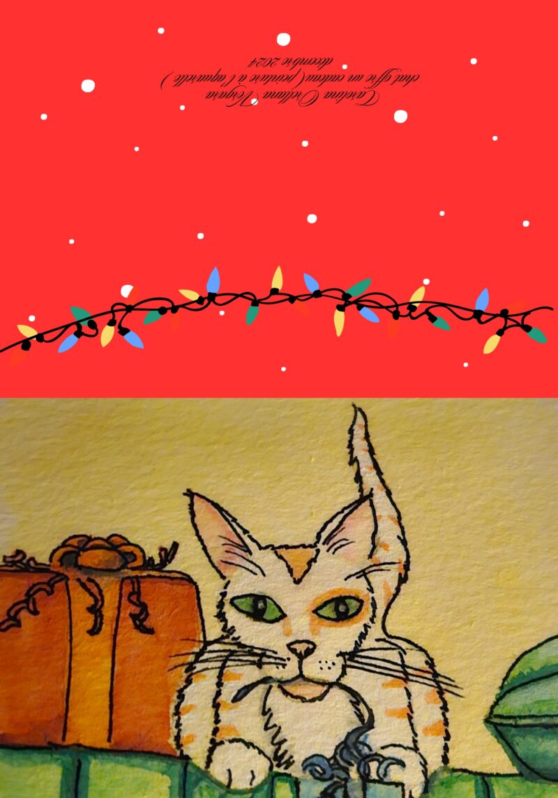 Chat offre un cadeau – Image 2