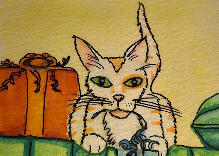 Chat offre un cadeau