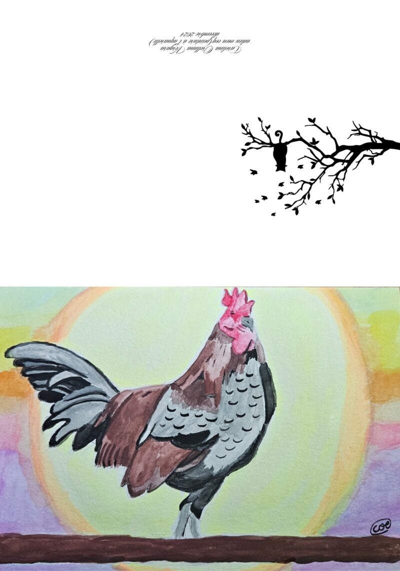 Coq – Image 2