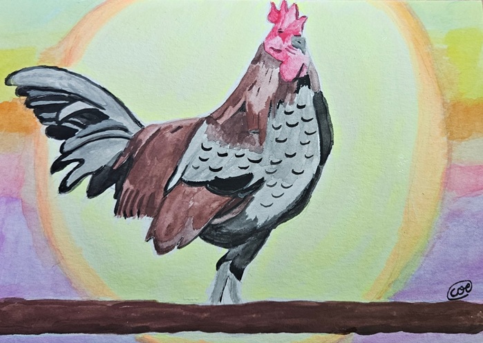 Coq
