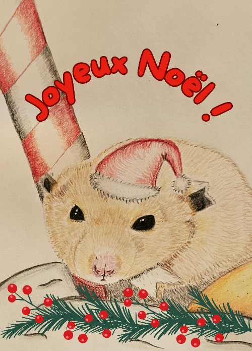 Hamster de Noël